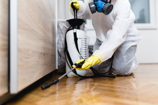 Best Emergency Pest Control  in Mims, FL