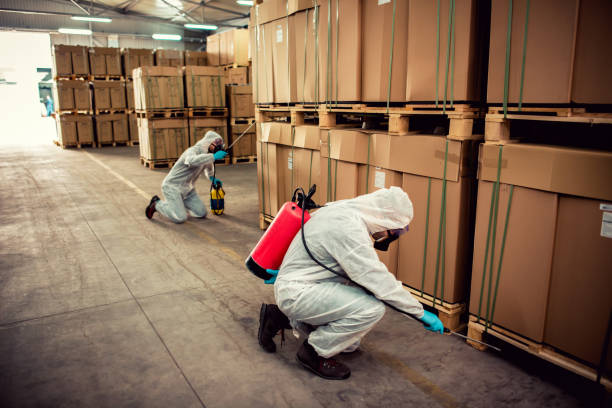 Best Pest Removal Services  in Mims, FL