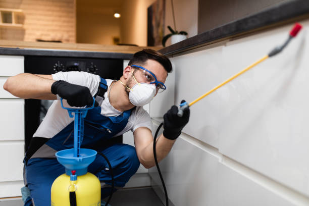 Wildlife Control Services in Mims, FL
