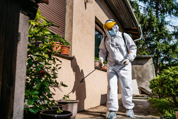 Trusted Mims, FL Pest Control Experts