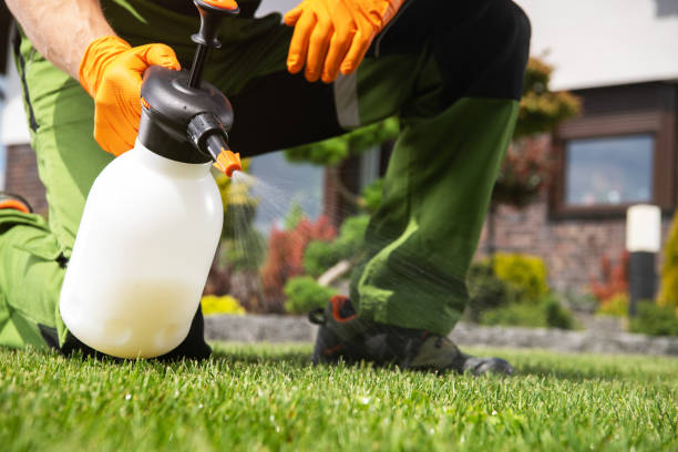 Best Best Pest Control Companies  in Mims, FL