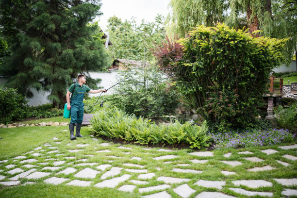 Pest Prevention Services in Mims, FL