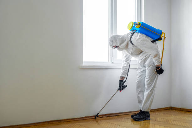 Best Pest Inspection Near Me  in Mims, FL
