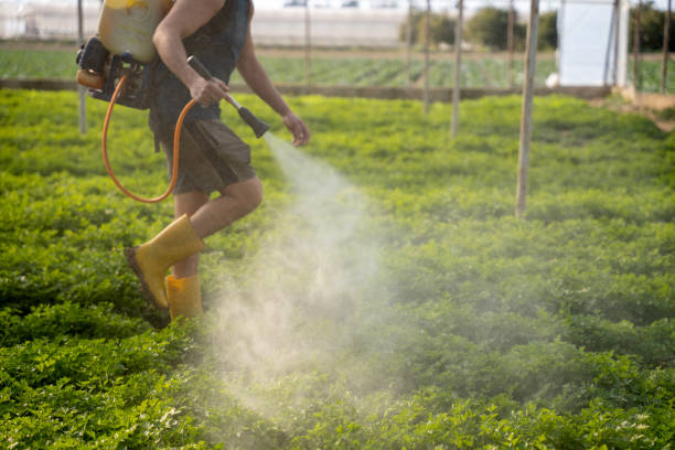 Best Affordable Pest Control Services  in Mims, FL