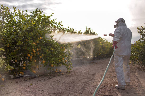 Best Pest Removal Services  in Mims, FL