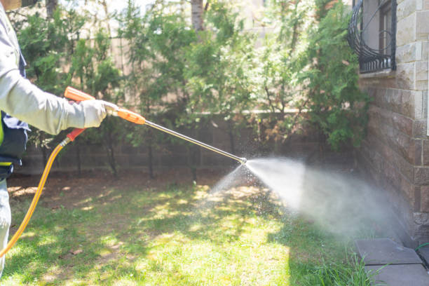 Bird Control in Mims, FL