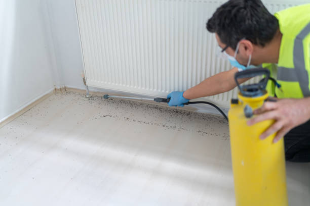 Best Mosquito Control Services  in Mims, FL