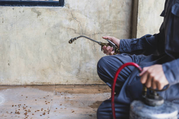 Best Wasp Removal Services  in Mims, FL